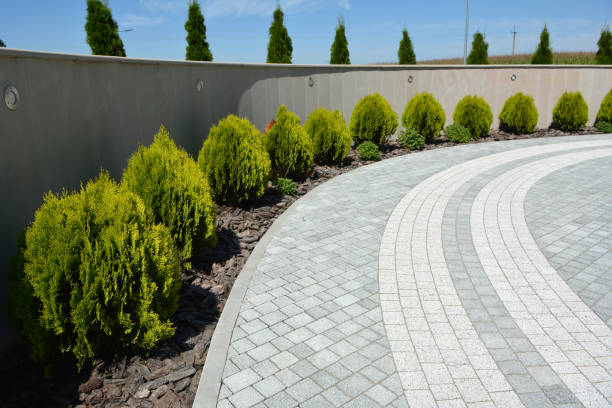 Reasons to Select Us for Your Driveway Paving Requirements in St Clair, MI